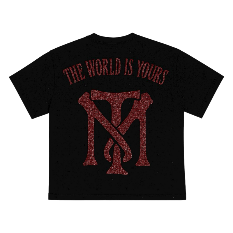 THE WORLD IS YOUR RHINESTONE TEE